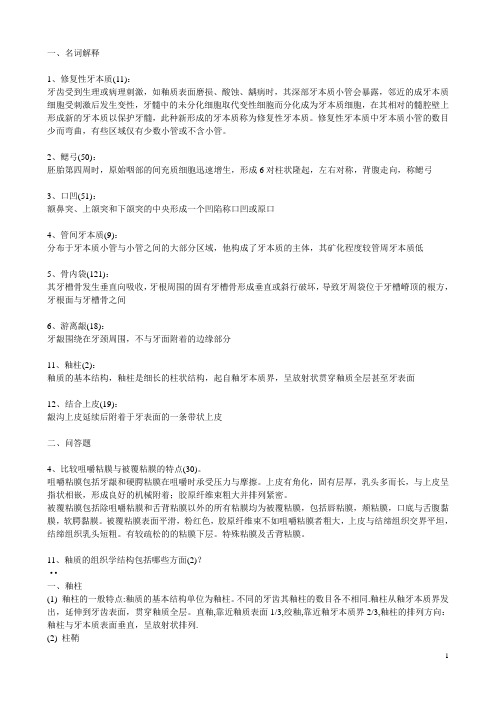 口腔组织学考试复习考试重点