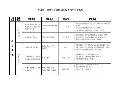 幼儿园社会领域幼儿发展水平评价指标 大班