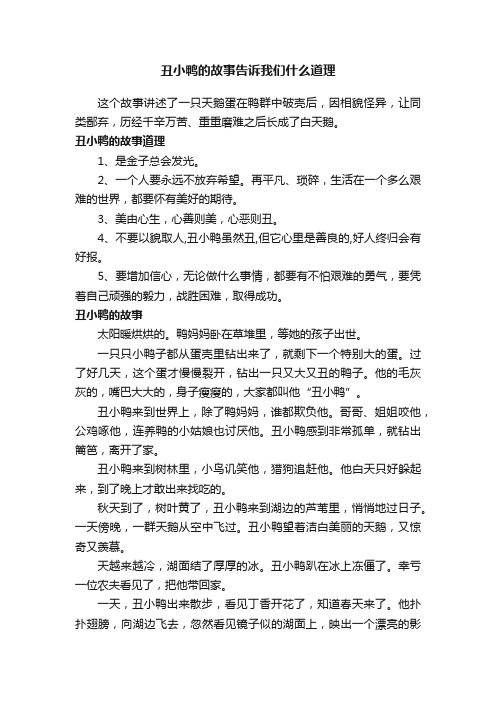 丑小鸭的故事告诉我们什么道理