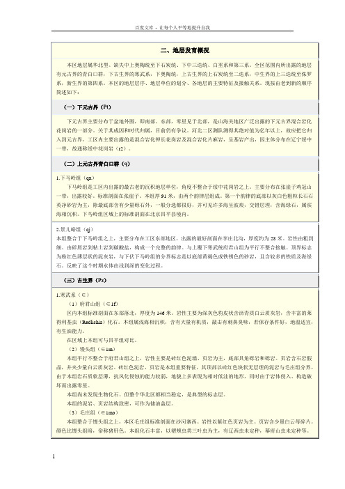 地层发育情况MicrosoftWord