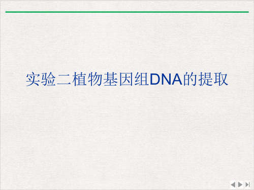 实验二植物基因组DNA的提取ppt课件