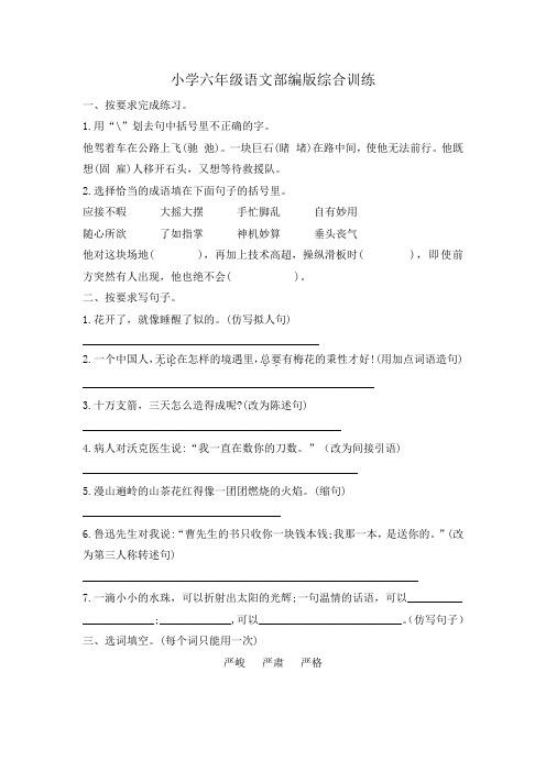 小升初语文综合训练18+试题2022-2023学年语文六年级下册-人教部编版(无答案)