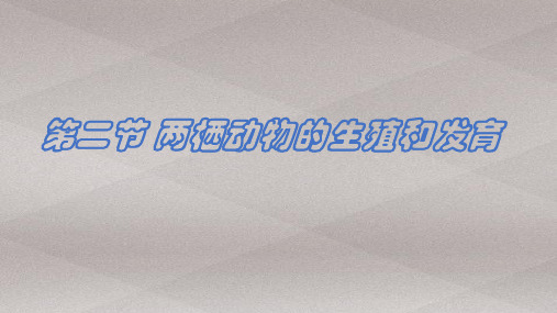 济南版八年级上册第二章第二节 两栖动物的生殖和发育