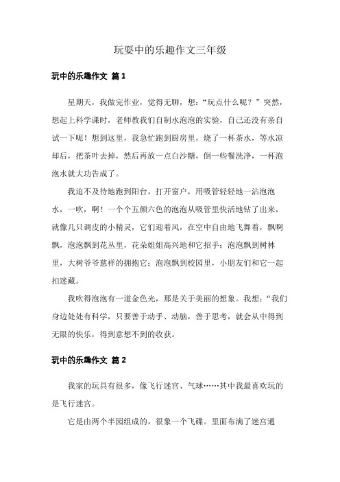 玩耍中的乐趣作文三年级