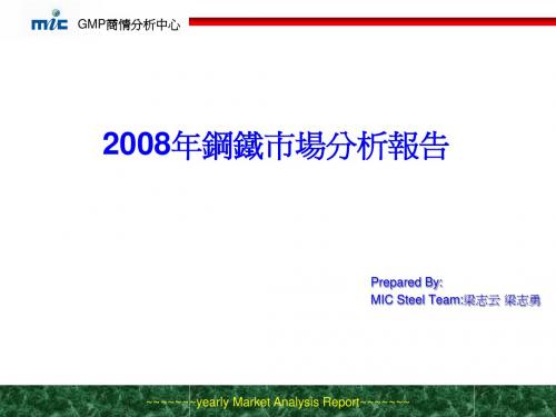 2008年钢铁市场分析报告