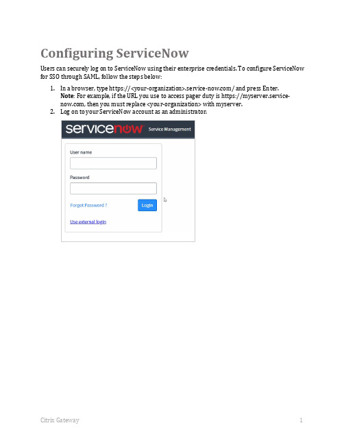 Citrix Gateway Configuring ServiceNow说明书