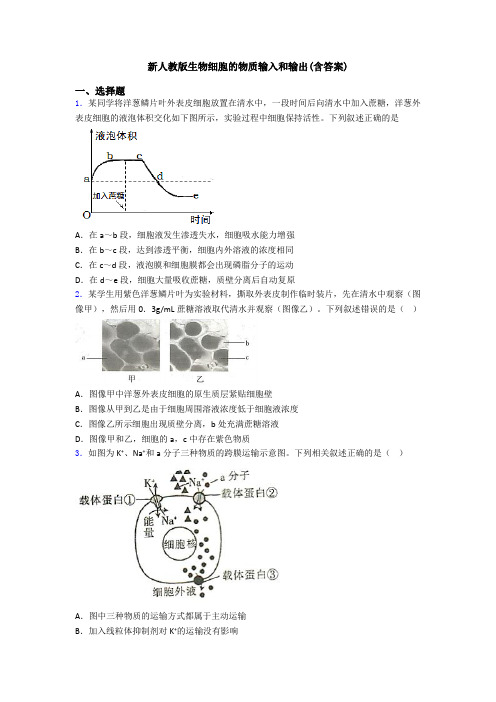 新人教版生物细胞的物质输入和输出(含答案)