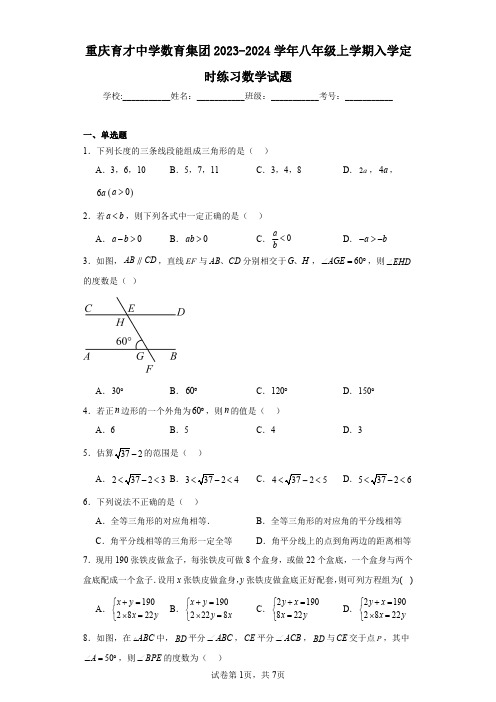 重庆育才中学数育集团2023-2024学年八年级上学期入学定时练习数学试题