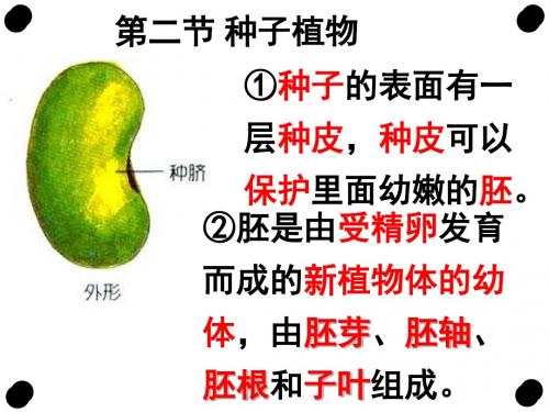 第三单元第二节种子的结构