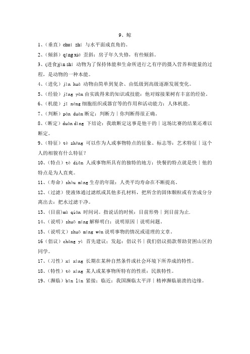 词语解释9鲸