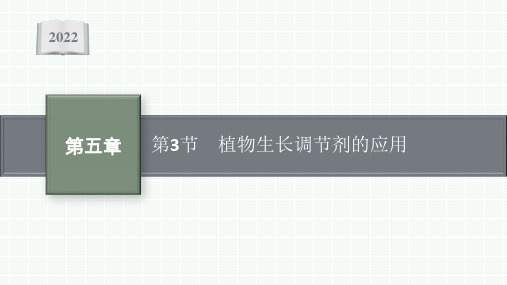 高中生物新人教版选择性必修1植物生长调节剂的应用(32张)课件