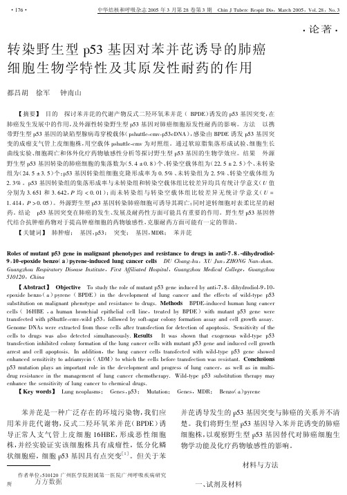 转染野生型p53基因对苯并芘诱导的肺癌细胞生物学特性及其原发性耐药的作用