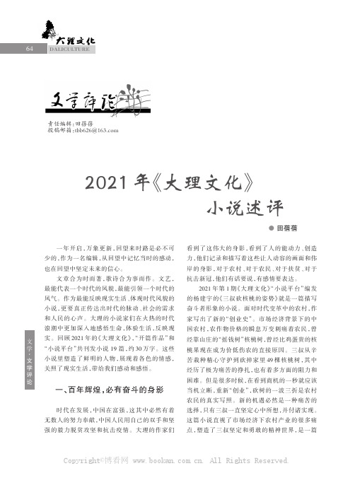 2021年《大理文化》小说述评