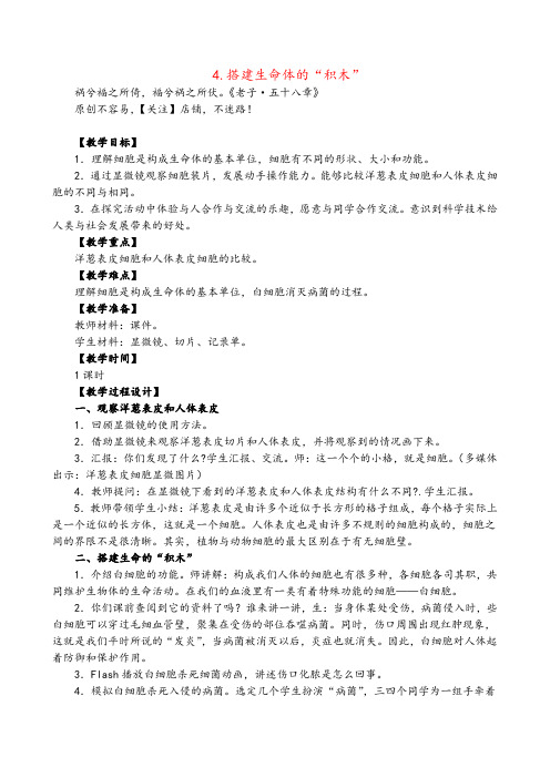 苏教版科学六年级上册搭建生命体的“积木”教案与反思