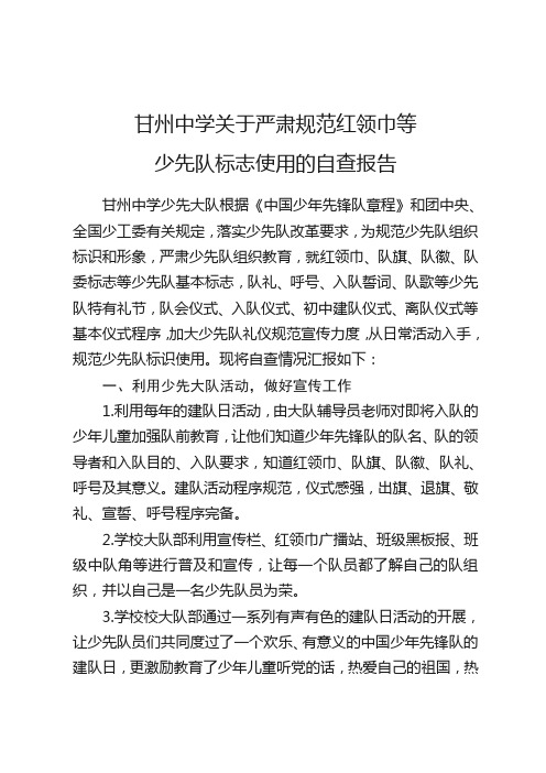 甘州中学少先队标志自查报告