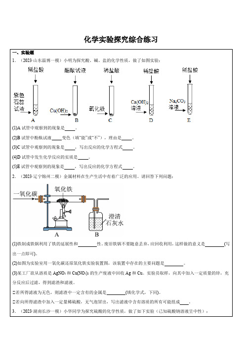 化学实验探究综合练习-浙教版九年级上册科学