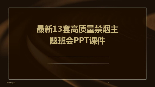 2024年度最新13套高质量禁烟主题班会PPT课件