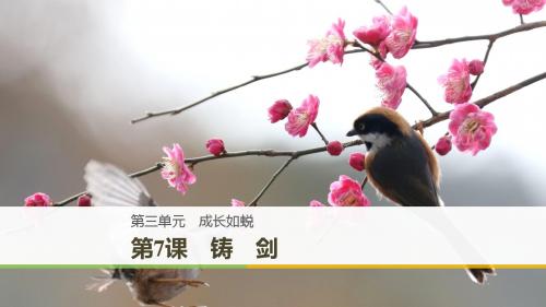 (豫宁)2018-2019版高中语文 第三单元 成长如蜕 第7课 铸剑课件 语文版必修1