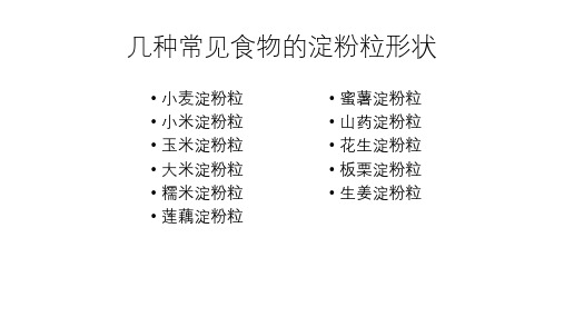 几种常见食物的淀粉粒形状