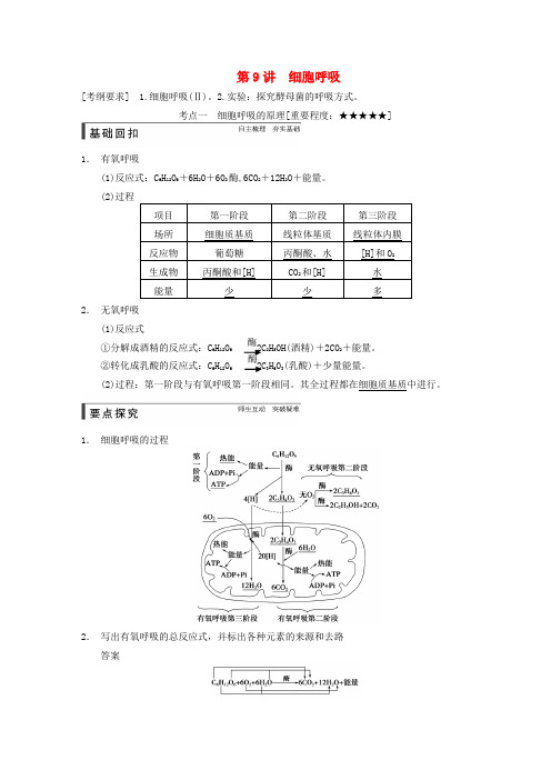 2015届高考生物一轮总复习精品讲义 第9讲 细胞呼吸 新人教版
