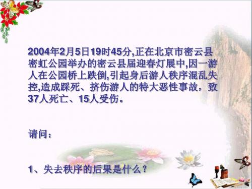 规则与秩序ppt优秀课件1