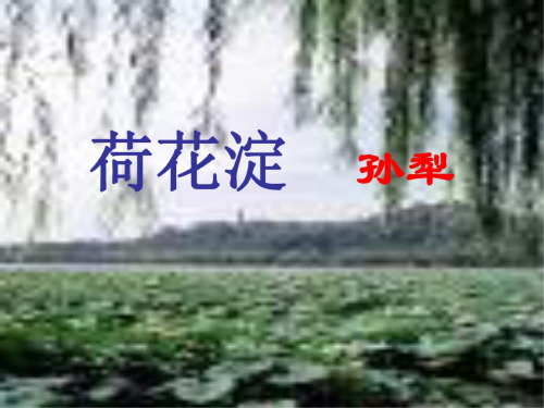 高三语文荷花淀2