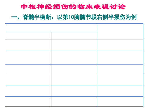 中枢神经损伤(断面分析)