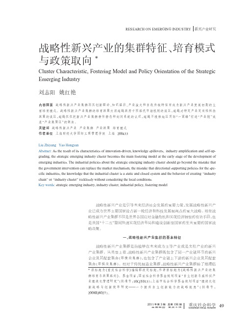 战略性新兴产业的集群特征_培育模式与政策取向