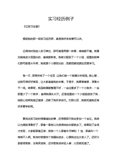 实习经历例子