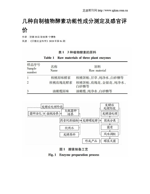 几种自制植物酵素功能性成分测定及感官评价