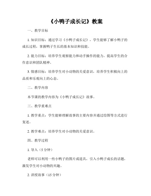 《小鸭子成长记》教案