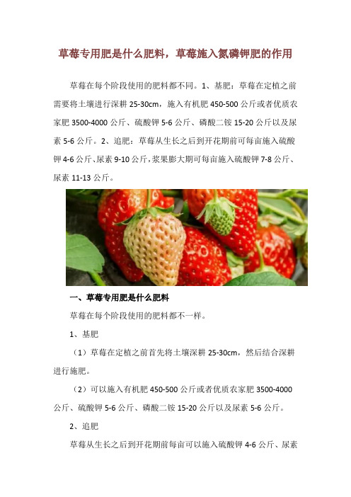 草莓专用肥是什么肥料,草莓施入氮磷钾肥的作用