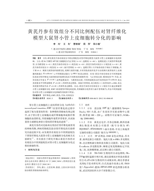 黄芪丹参有效组分不同比例配伍对肾纤维化模型大鼠肾小管上皮细胞转分化的影响