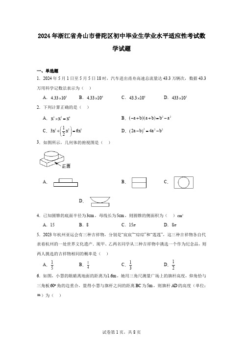 2024年浙江省舟山市普陀区初中毕业生学业水平适应性考试数学试题