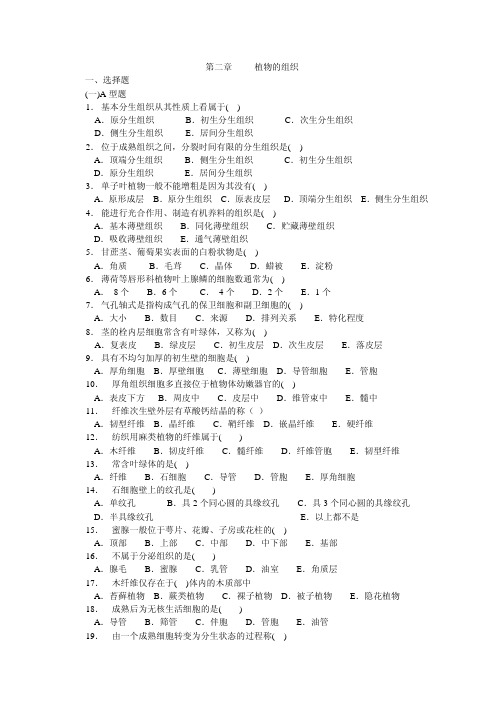 第二章 植物的组织