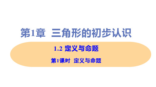 新浙教版八年级上册初中数学 第1课时 定义与命题 教学课件