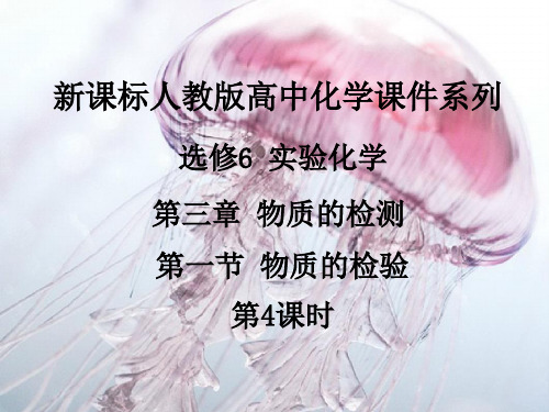 物质的检验PPT精品课件