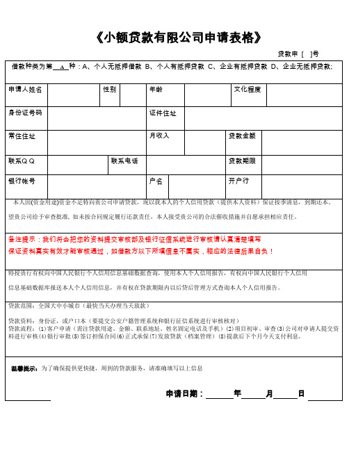 小额贷款有限公司申请表格