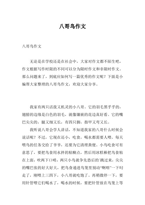 八哥鸟作文