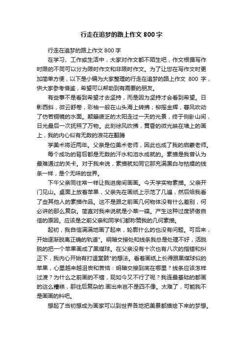 行走在追梦的路上作文800字