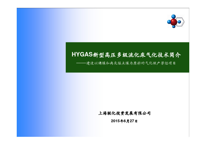 HYGAS新型高压多级流化床气化技术简介-2015褐煤(低阶煤)清洁高效利用技术与产业发展论坛