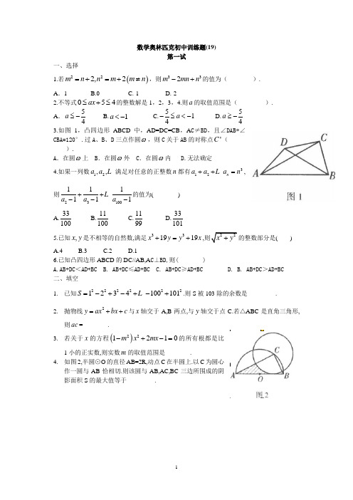 数学奥林匹克初中训练题19