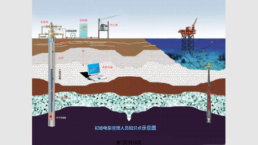 潜油电泵采油管理培训PPT课件