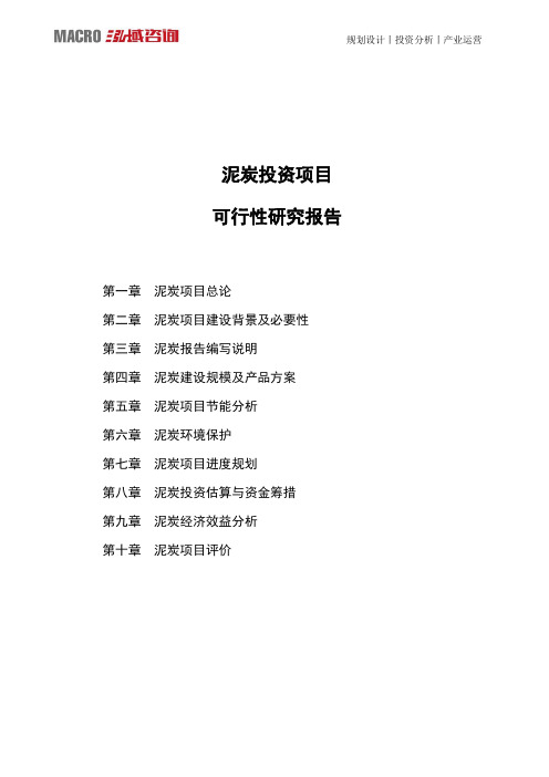 泥炭投资项目可行性研究报告