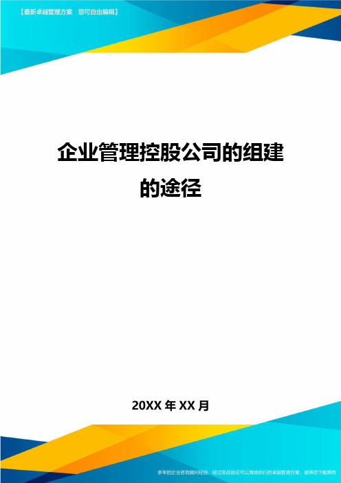 企业管理控股公司的组建的途径方案