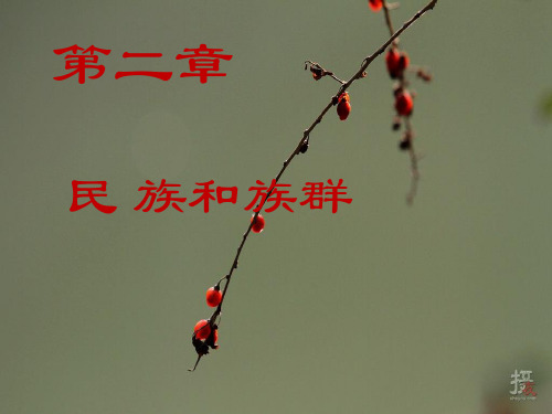 民族理论与政策 第二章 民族和族群