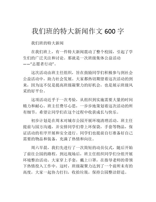 我们班的特大新闻作文600字