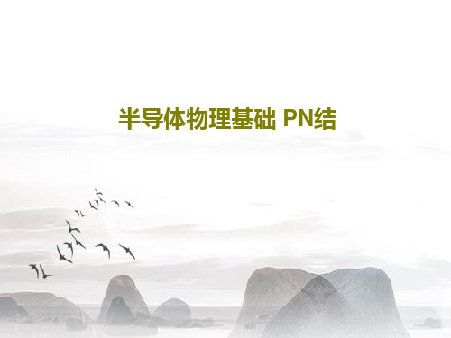 半导体物理基础 PN结共115页文档