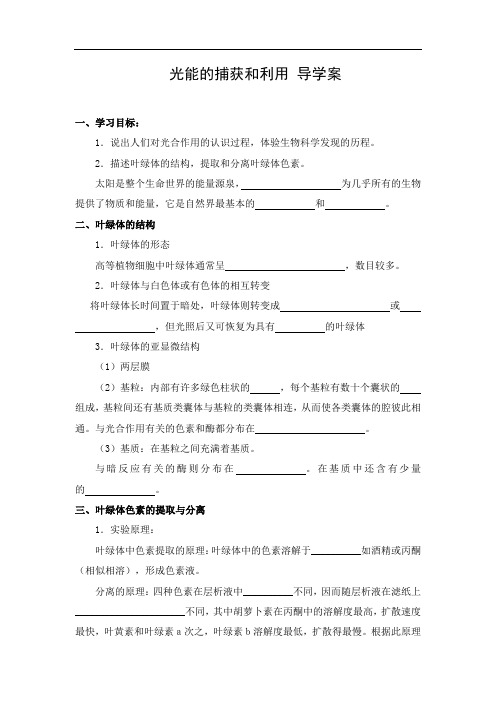 导学案3：光能的捕获和利用