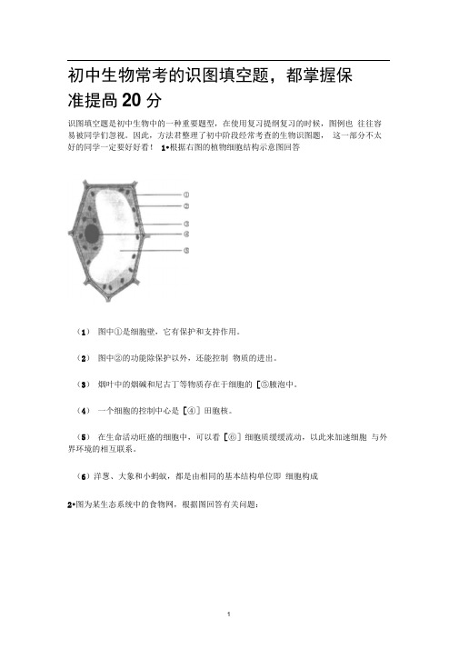 初中生物常考的识图填空题